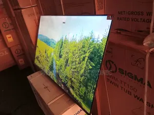 TCL 55” Smart Google Tv – Say It, Watch It