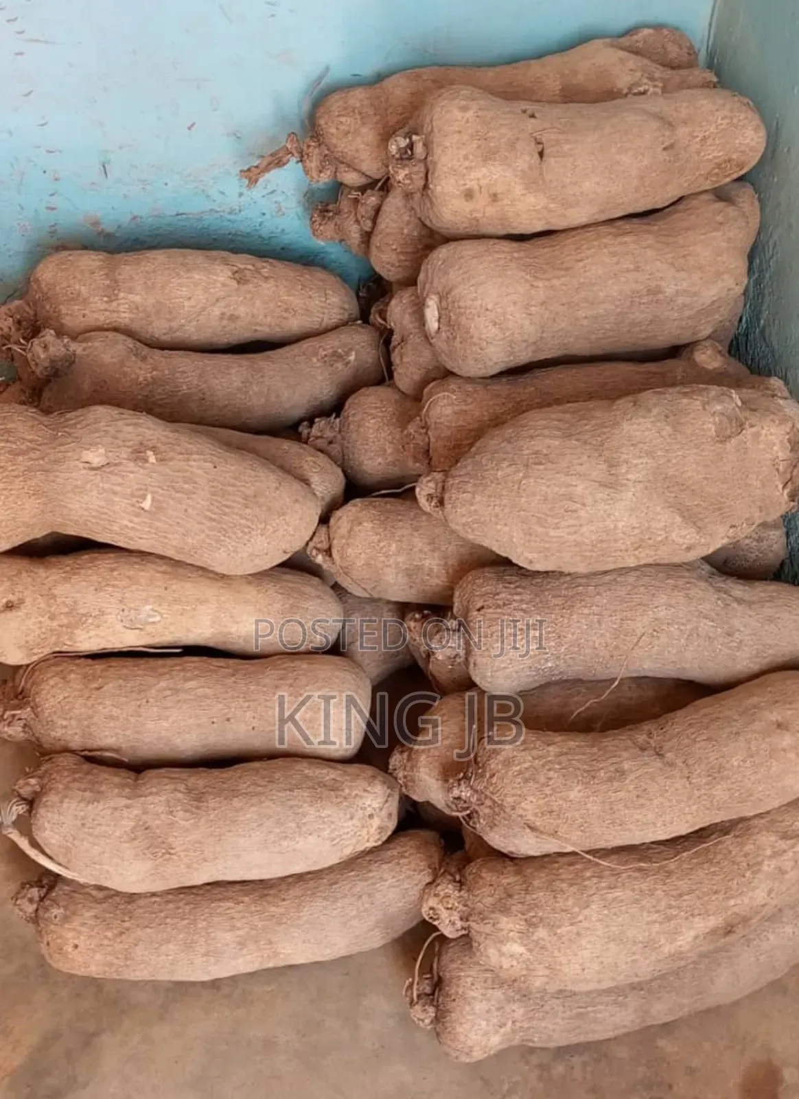 Your Favourite Local Yam