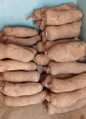 Your Favourite Local Yam