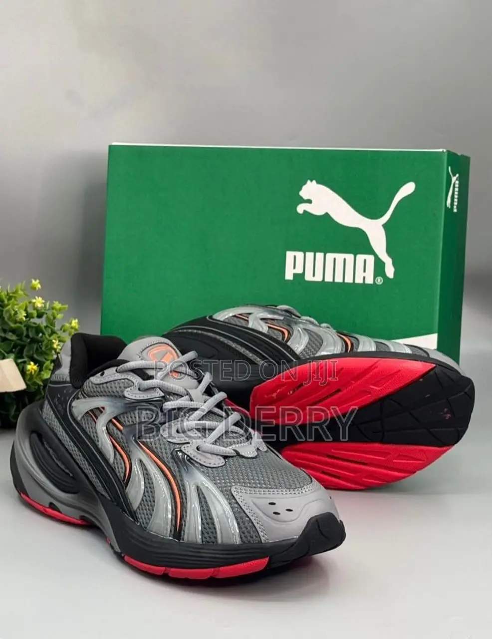 Puma Inverse