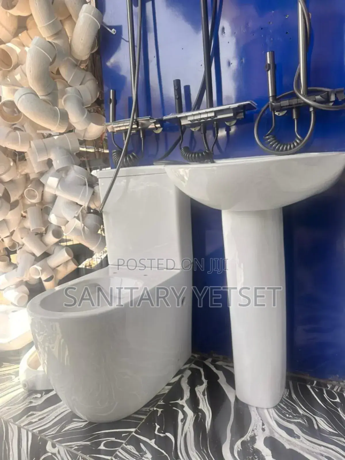 Master Bedroom Water Closet and Basin