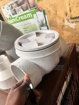 Foreign Non Return Valve