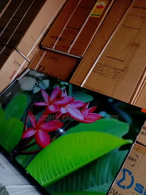 Smart 55-inch Led Tv With Bright, Vivid Seamless Internet Streaming
