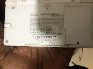 Ninetendo Ds Lite