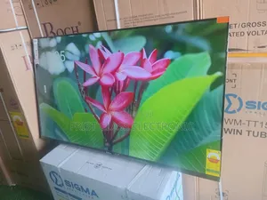 Sigma 55 Inch Smart Tv – Perfect for Family Entertainment