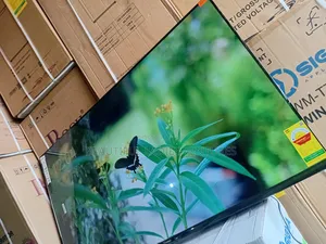 Vibrant 55-Inch Sigma With Crisp Images and Modern Connectivity