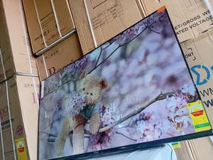 Vibrant 55-Inch Sigma With Crisp Images and Modern Connectivity