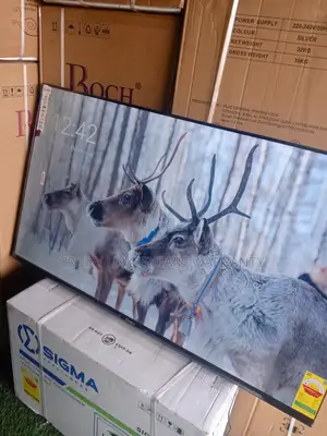 Sigma 55-Inch Smart Tv – Smart, Sleek, and Stunning Pictures Sigma Tv
