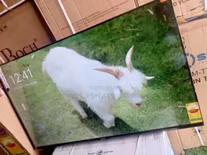 Sigma 55” Led Smart Tv – Cinema Experience at Home With Sigma Tv