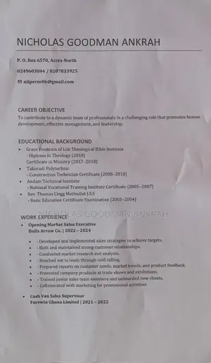 Sales Executive