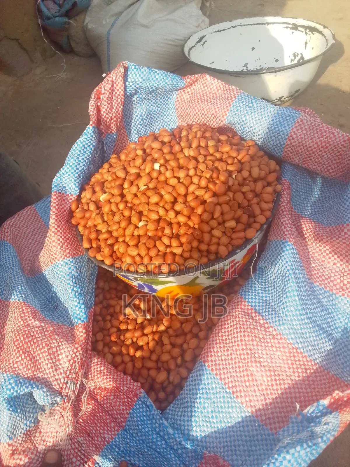 Fresh Groundnut for Sell