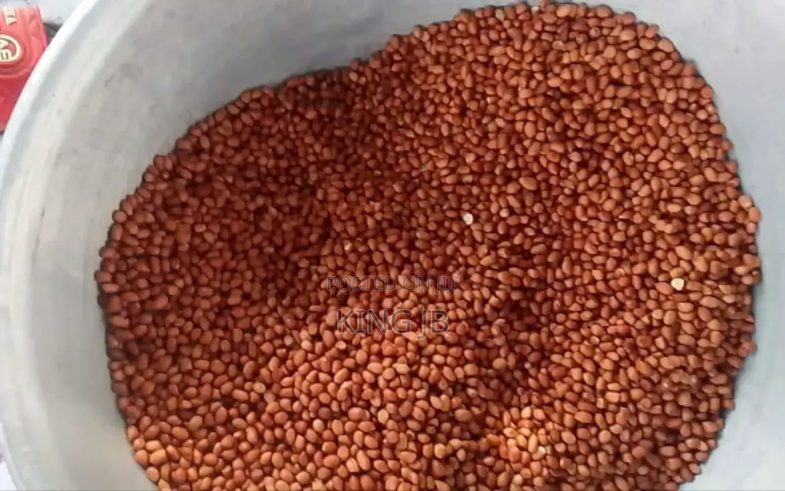 Fresh Groundnut for Sell
