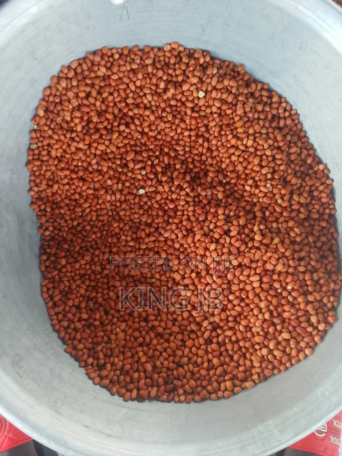 Fresh Groundnut for Sell