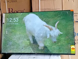 Breathtaking 55-Inch Smart Tv With Slim Frame and Powerful Tv