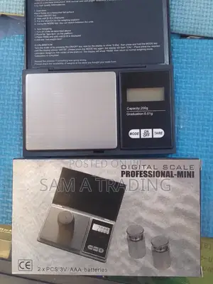 Professional Mini Digital Scale