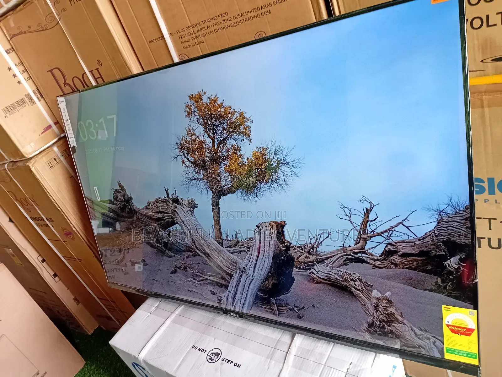 Sleek and Slim 55-Inch Smart Tv for Stylish Modern Living Spaces