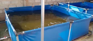 Easy Wash Fish Pond/Tank