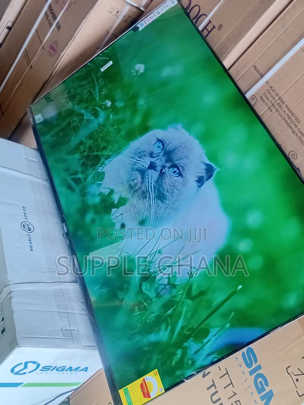 Sigma Tv Smart 55 Inches – Stunning Visuals