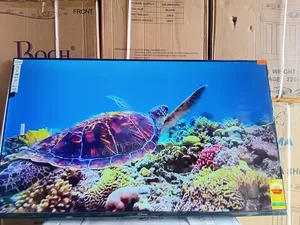 Jet Moves and View Sigma55