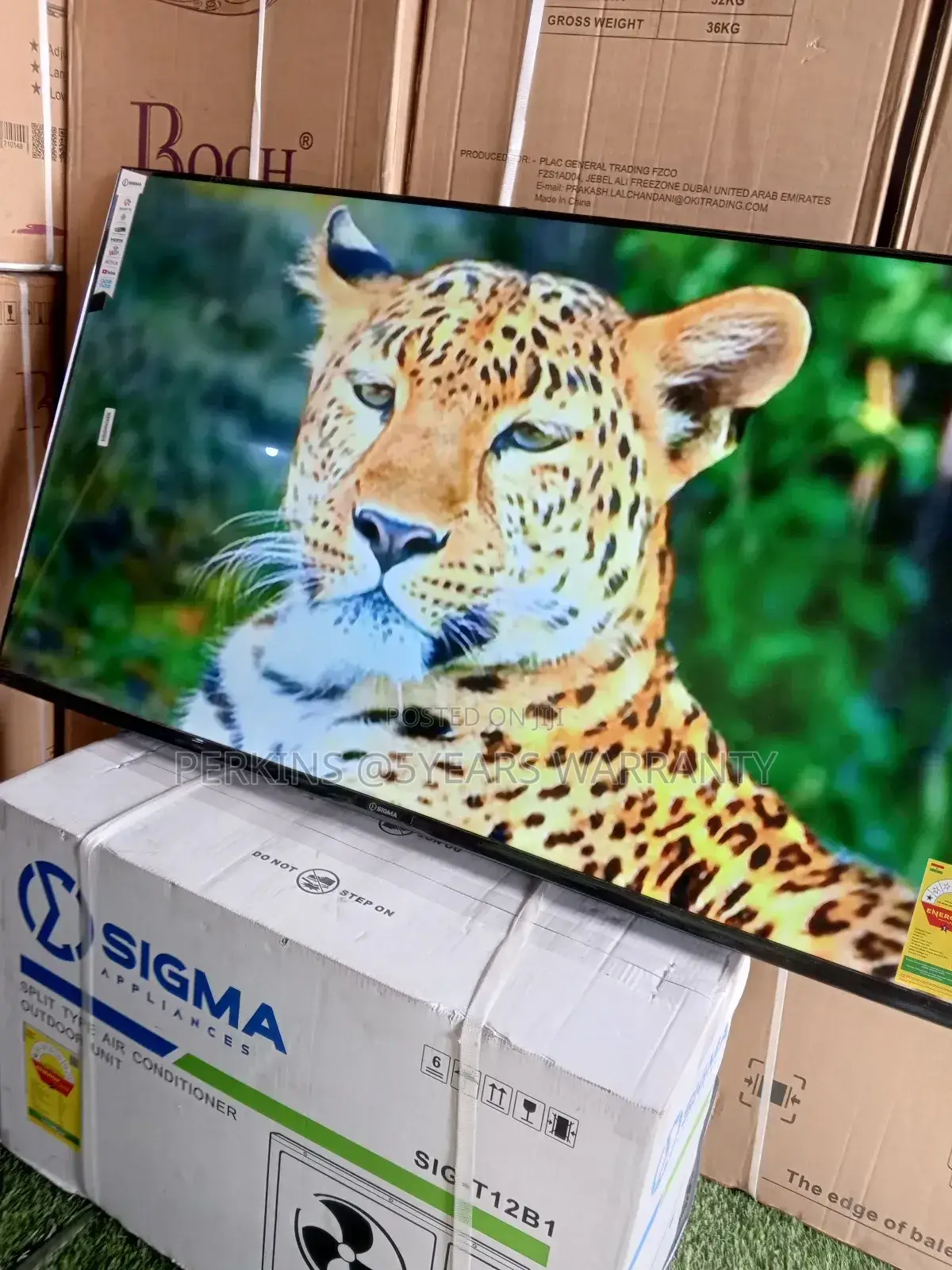 Sigma 55” Smart Led Tv – Modern Sigma Tv for Modern Homes
