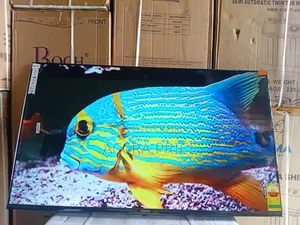 Humble Abord Sigma55