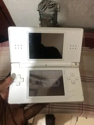 Ninetendo Ds Lite