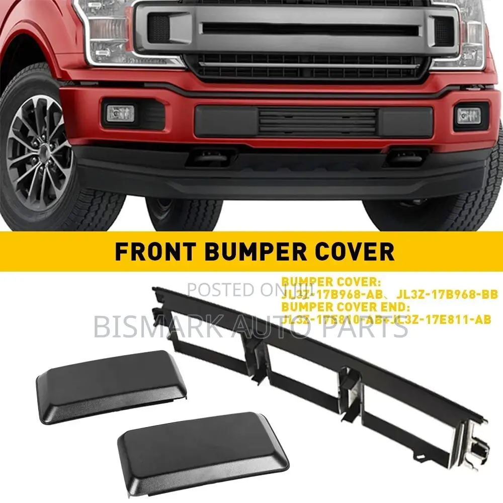 Ford F150 2018-2019-2020-2021 Bumper Moulding/ Grill