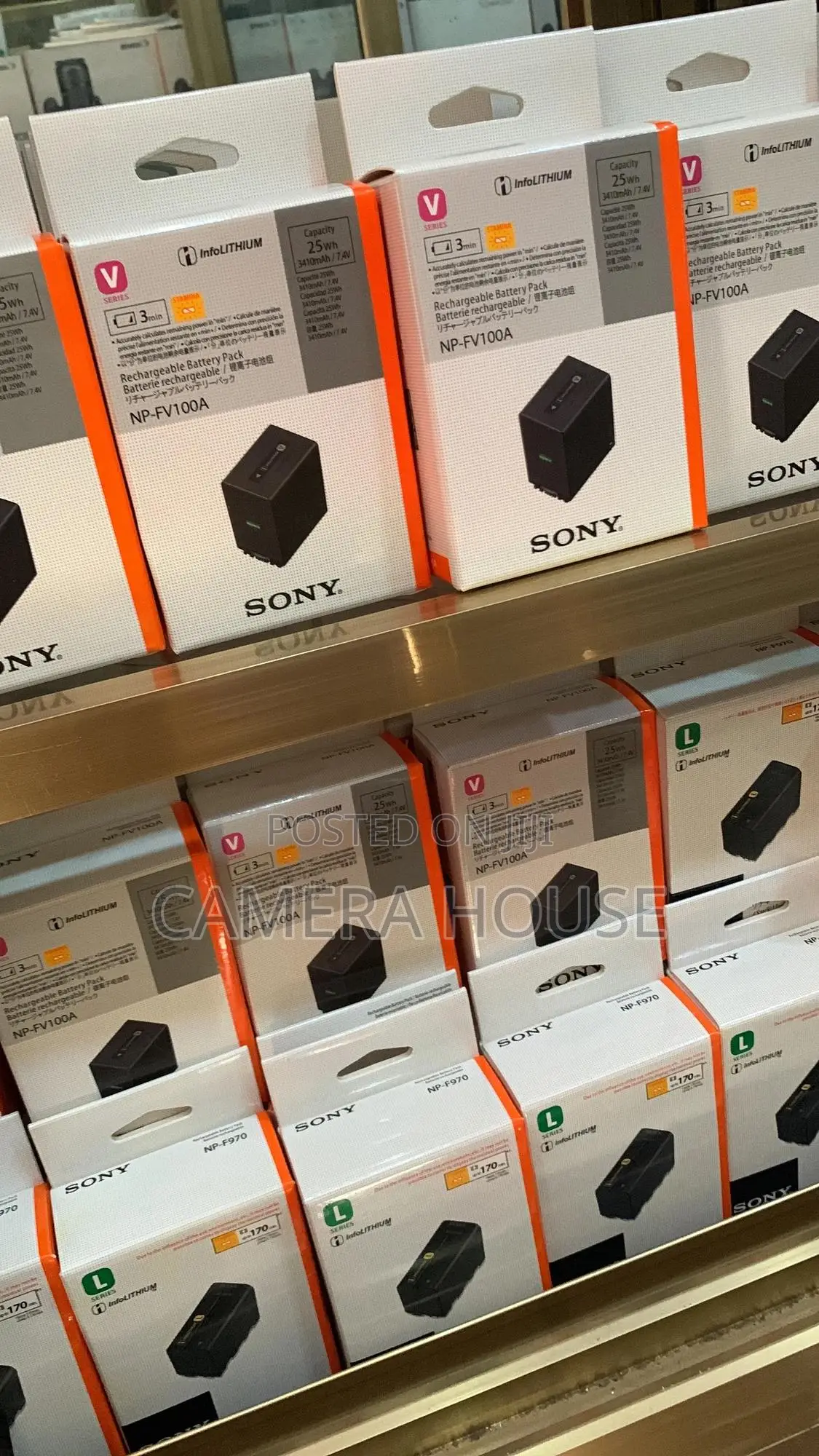 Sony Np-fv100 Battery