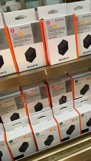 Sony Np-fv100 Battery