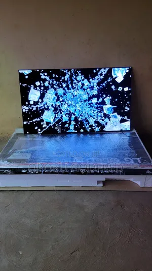 Oled Bx 65 Inches
