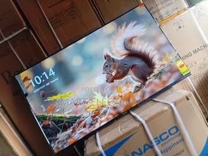 Sigma 55inches Smart-Tv Experience the A+Visuals on Sigma Tv