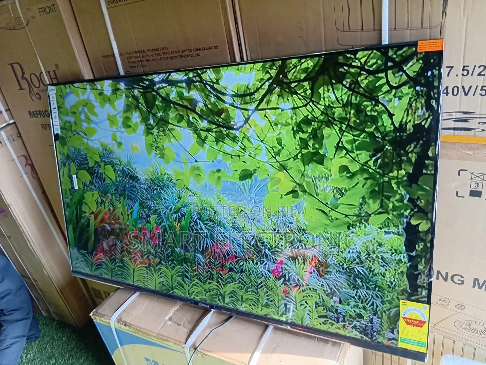 Sigma 55” Smart Tv – Eye-Catching Display