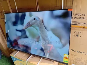 Sigma 55” Smart Tv – Bring Life to Your Room