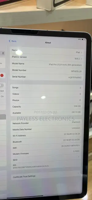 Apple iPad (2022) 256 GB Gray