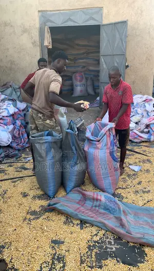 Red White Maize Seeds