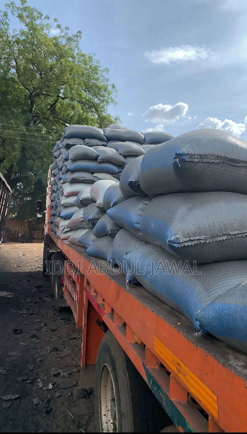 Red White Maize Seeds