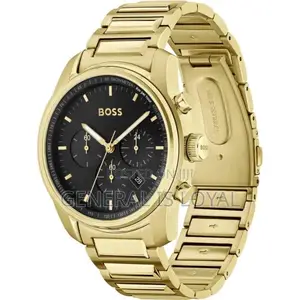 Hugo Boss Trace Chronograph Black Dial Gold Steel Strap Watch For Men