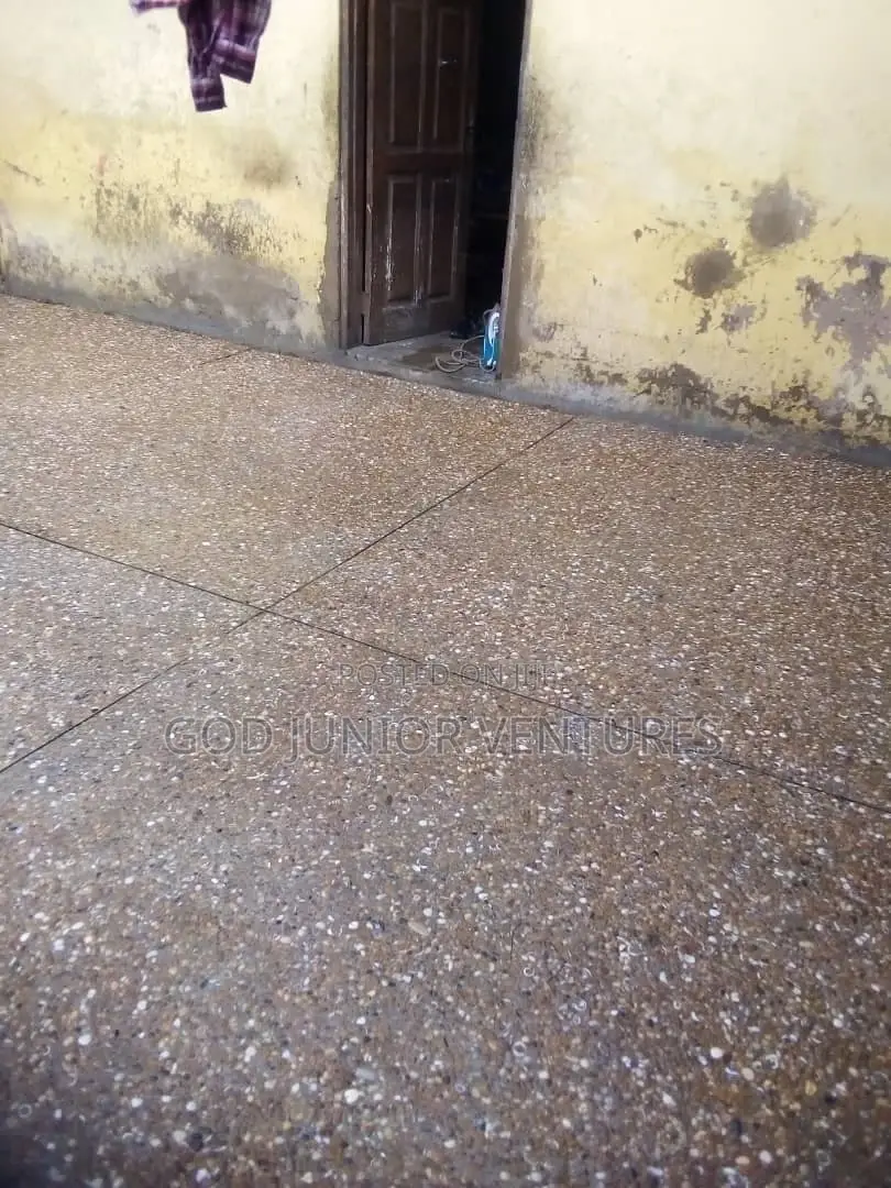 Pavement and Stamping Service