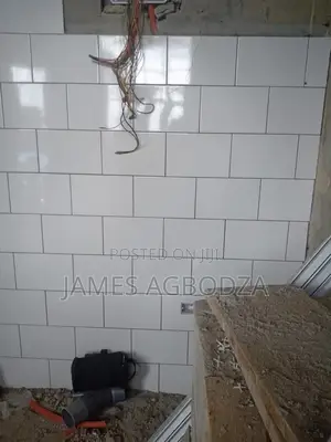 Professional Tiling Master