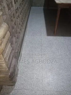 Professional Tiling Master