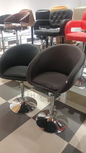 Salon Chair