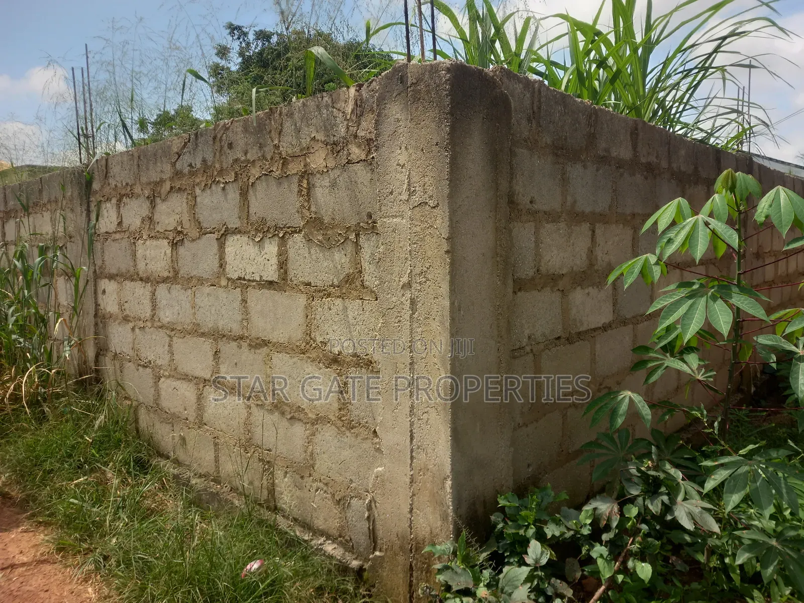 Plot ( With 3 Shops/ Stores) for Sale at Sabin Akrofrom ( Trede)