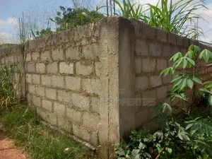 Plot ( With 3 Shops/ Stores) for Sale at Sabin Akrofrom ( Trede)