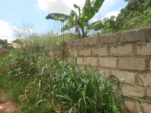 Plot ( With 3 Shops/ Stores) for Sale at Sabin Akrofrom ( Trede)