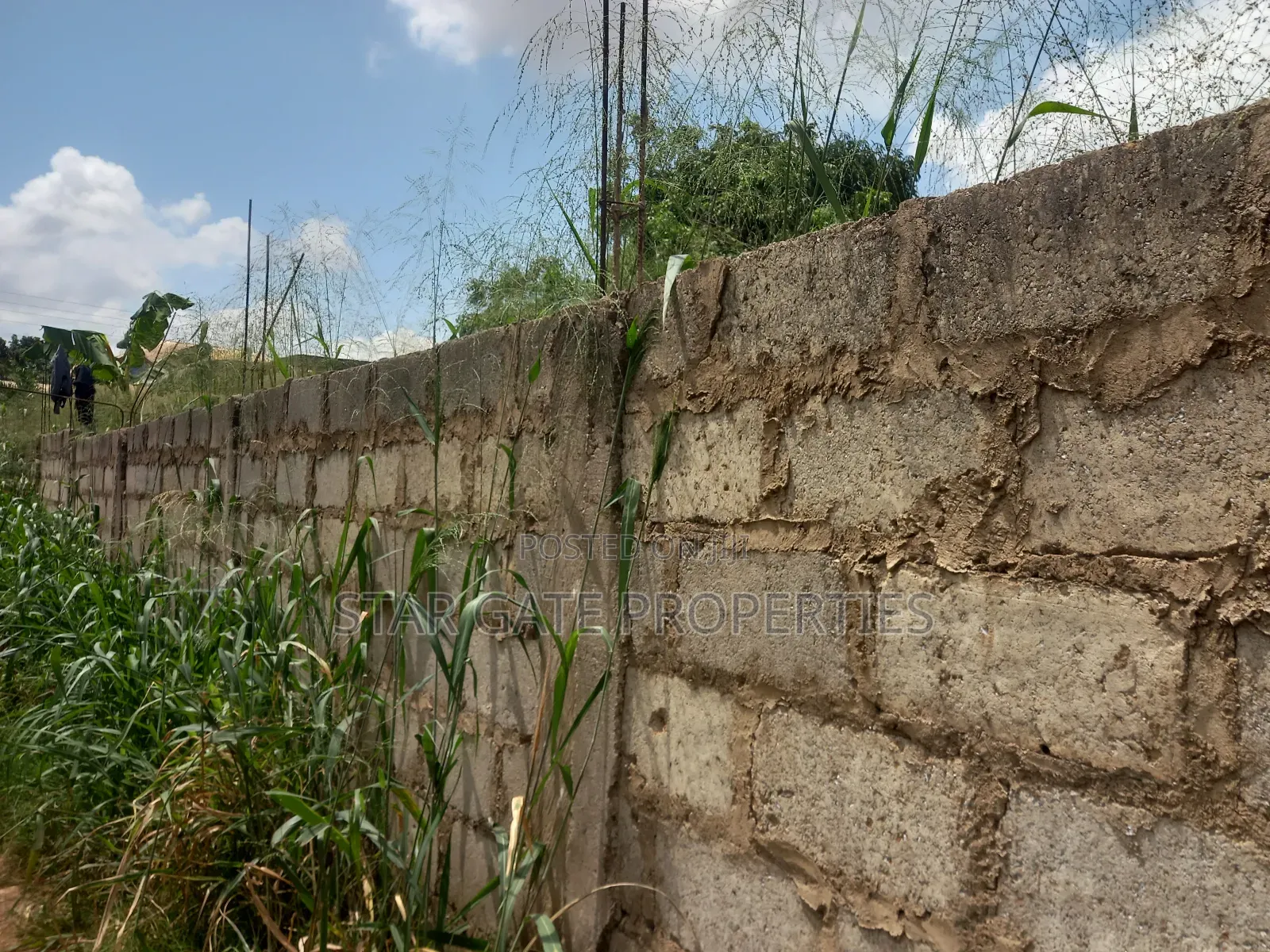 Plot ( With 3 Shops/ Stores) for Sale at Sabin Akrofrom ( Trede)