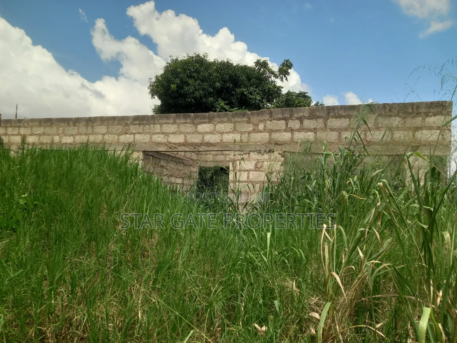 Plot ( With 3 Shops/ Stores) for Sale at Sabin Akrofrom ( Trede)