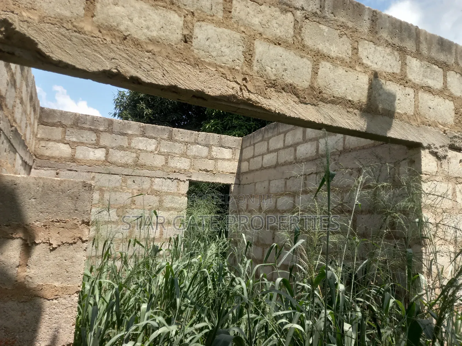 Plot ( With 3 Shops/ Stores) for Sale at Sabin Akrofrom ( Trede)