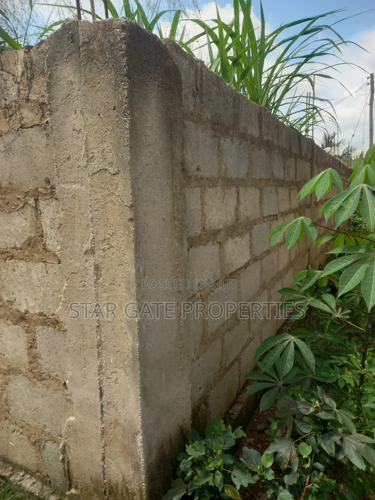 Plot ( With 3 Shops/ Stores) for Sale at Sabin Akrofrom ( Trede)