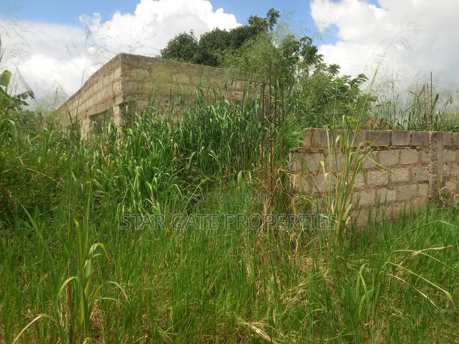 Plot ( With 3 Shops/ Stores) for Sale at Sabin Akrofrom ( Trede)