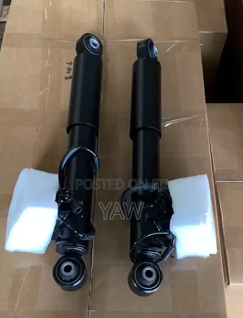 Lexus Rx 350 Back Shock Absorber